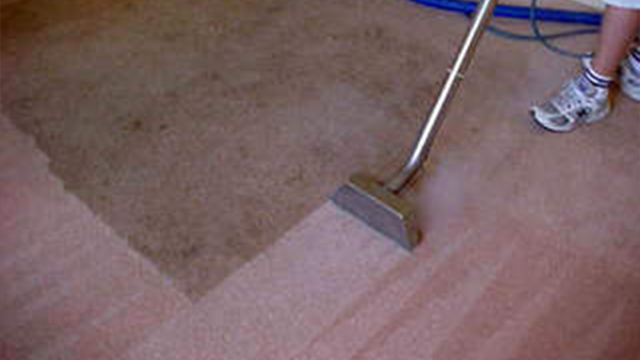 carpet being cleaned
